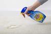 1001 carpet cleaner